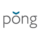 Pong Case