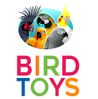 Bird Toys 