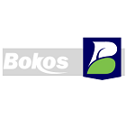 Bokos