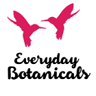 Everyday Botanicals
