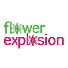 Flower Explosion