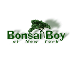 Bonsai Boy 